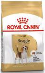 Royal Canin Adult Beagle Sucha Karma dla psa op. 12kg