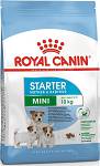 Royal Canin Mini Starter Karma dla szczeniaka op. 1kg