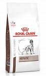 Royal Canin Vet Hepatic Sucha Karma dla psa op. 2x12kg MEGA-PAK