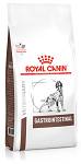 Royal Canin Vet Gastro Intestinal Sucha Karma dla psa op. 2x15kg MEGA-PAK