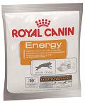 Royal Canin Przysmak ENERGY dla psa op. 50g
