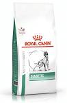 Royal Canin Vet Diabetic Sucha Karma dla psa op. 1.5kg WYPRZEDAŻ